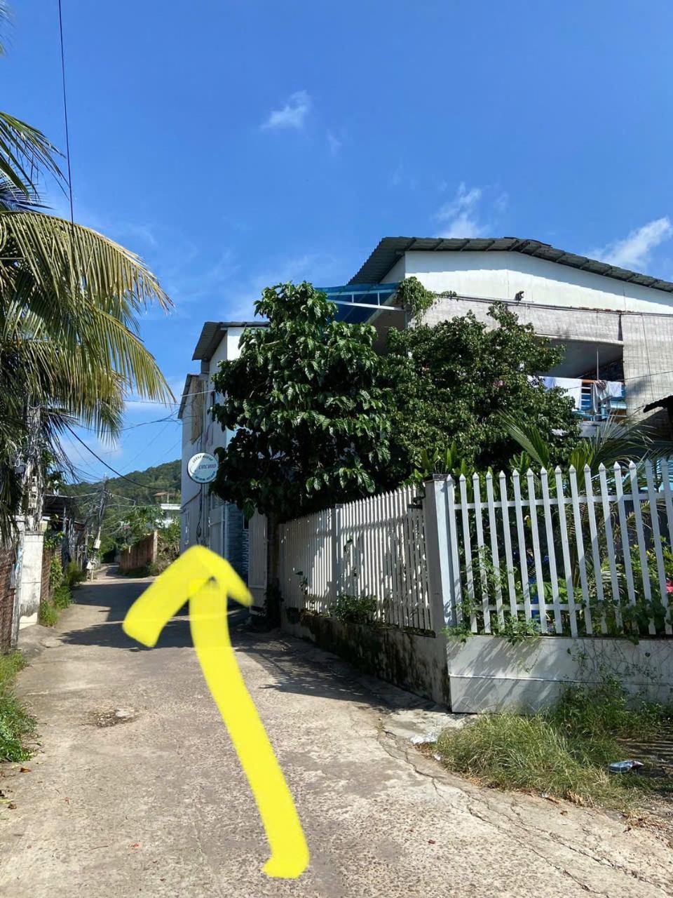 דואונג דונג Orchid Guesthouse מראה חיצוני תמונה