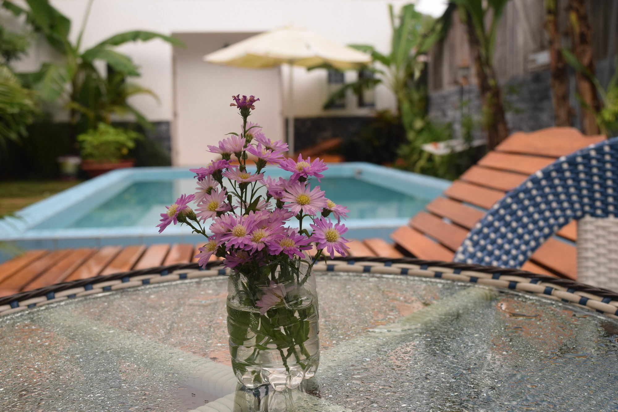 דואונג דונג Orchid Guesthouse מראה חיצוני תמונה